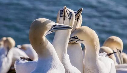 九游中国官网-东亚杯中国足球惨败 球员状态不稳定，东亚杯中国队